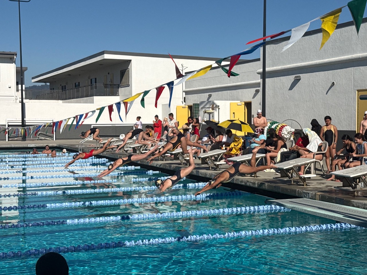 High school swimmers dive mid-air off starting blocks into an outdoor swimming pool during a swim meet on a sunny day.